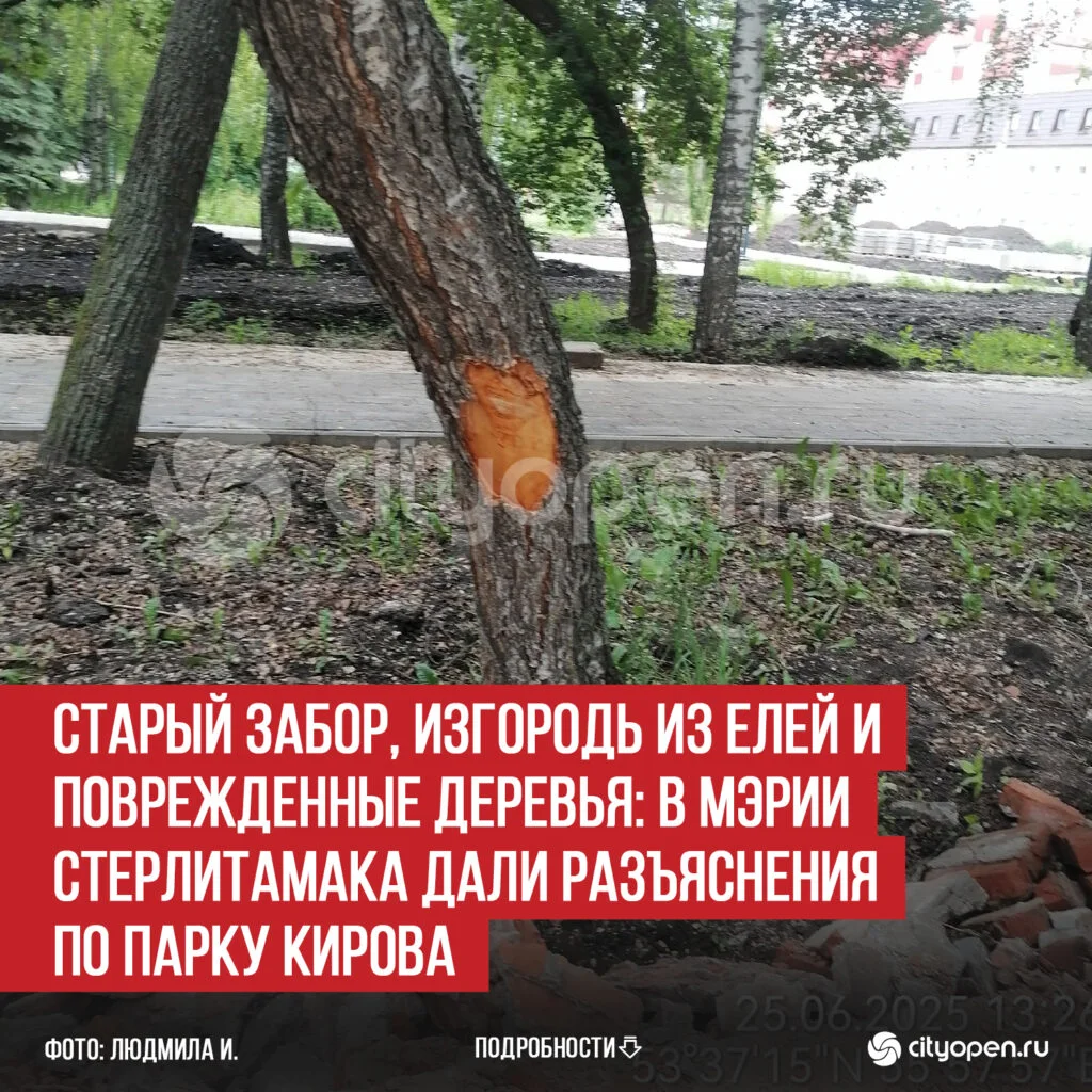 Старый забор, изгородь из елей и поврежденные деревья: в мэрии Стерлитамака дали разъяснения по парку Кирова