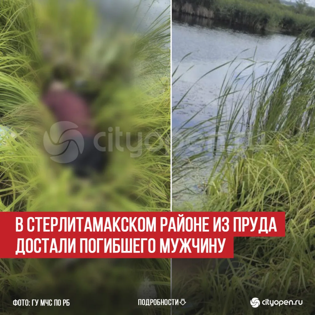 В Стерлитамакском районе из пруда достали погибшего мужчину