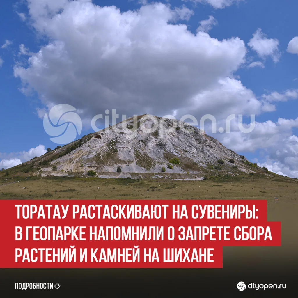 Торатау растаскивают на сувениры: в геопарке напомнили о запрете сбора растений и камней на шихане