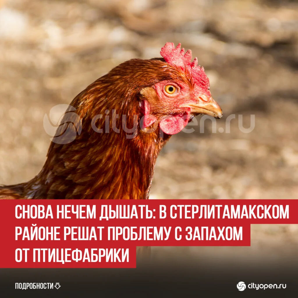 Снова нечем дышать: в Стерлитамакском районе решат проблему с запахом от птицефабрики