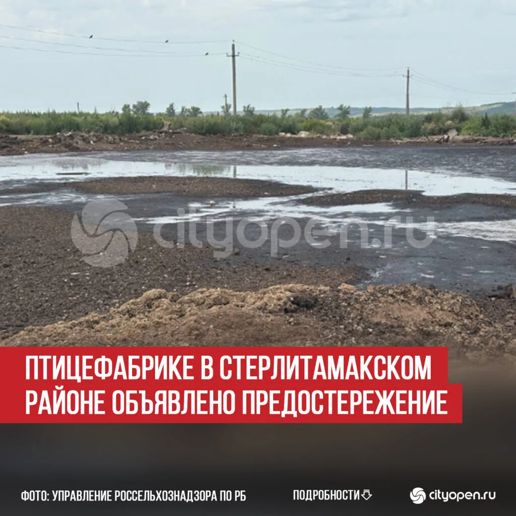 Птицефабрике в Стерлитамакском районе объявлено предостережение