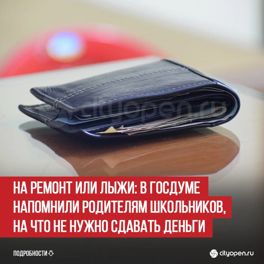 На ремонт или лыжи: в Госдуме напомнили родителям школьников, на что не нужно сдавать деньги