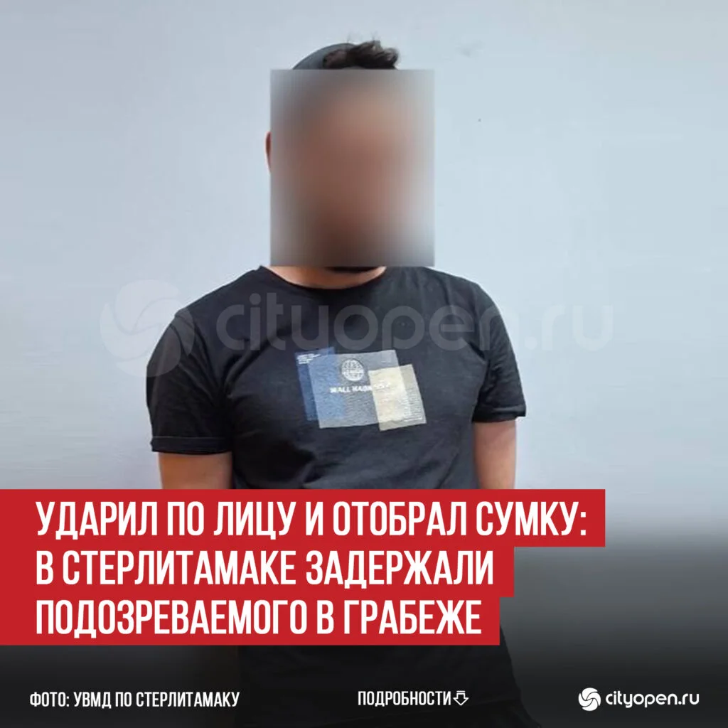 Ударил по лицу и отобрал сумку: в Стерлитамаке задержали подозреваемого в грабеже