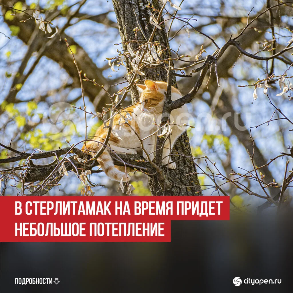 В Стерлитамак на время придет небольшое потепление