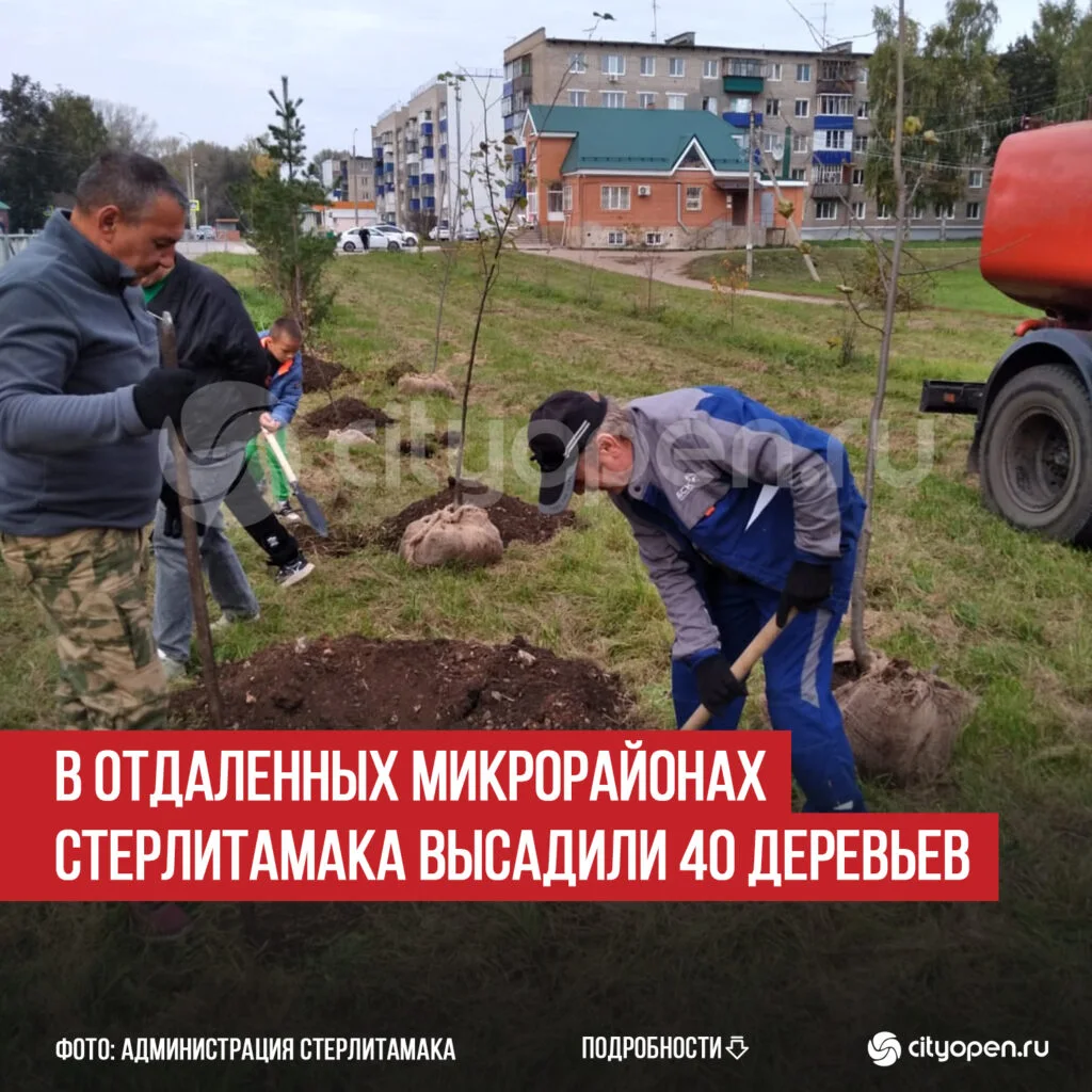 В отдаленных микрорайонах Стерлитамака высадили 40 деревьев