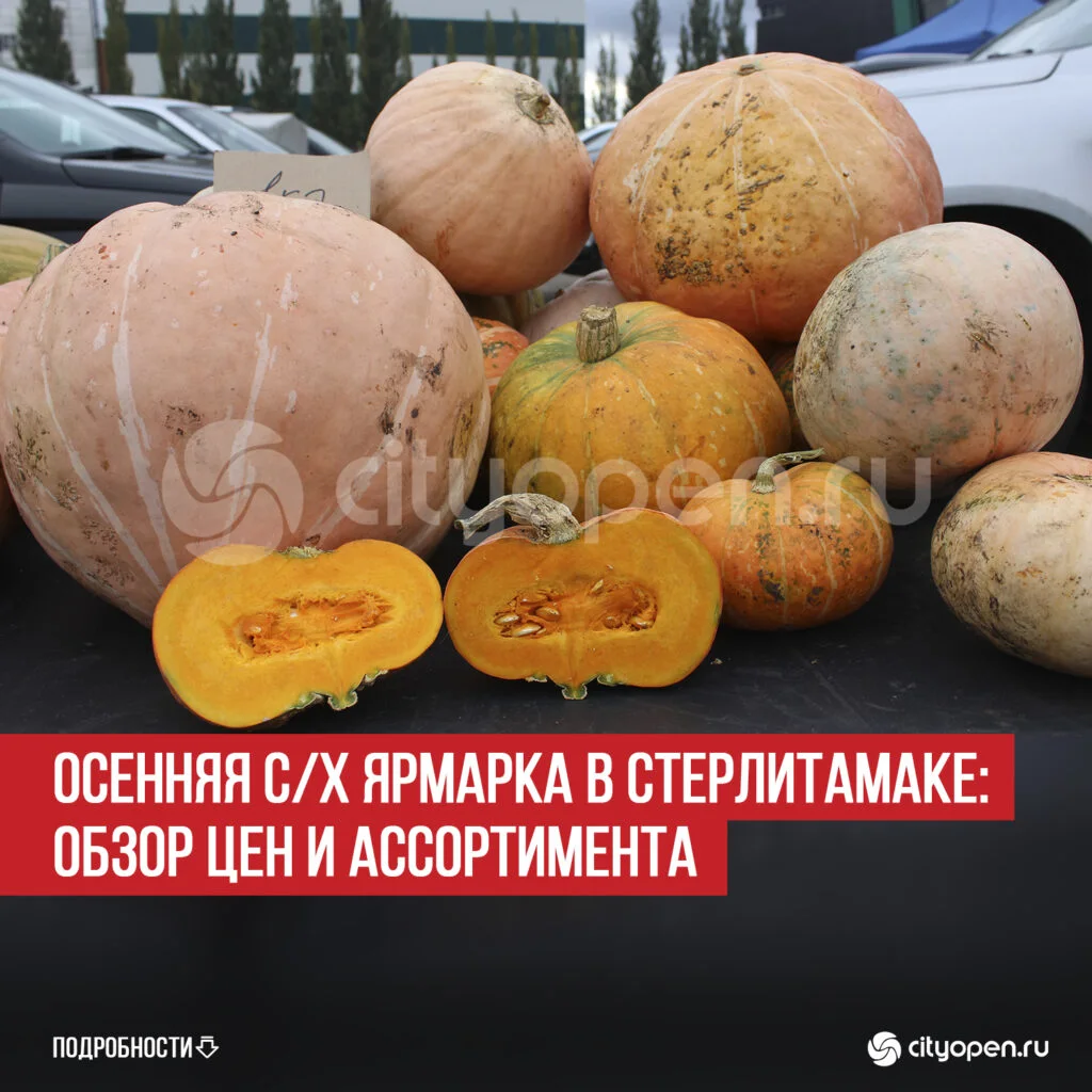 Осенняя с/х ярмарка в Стерлитамаке: обзор цен и ассортимента