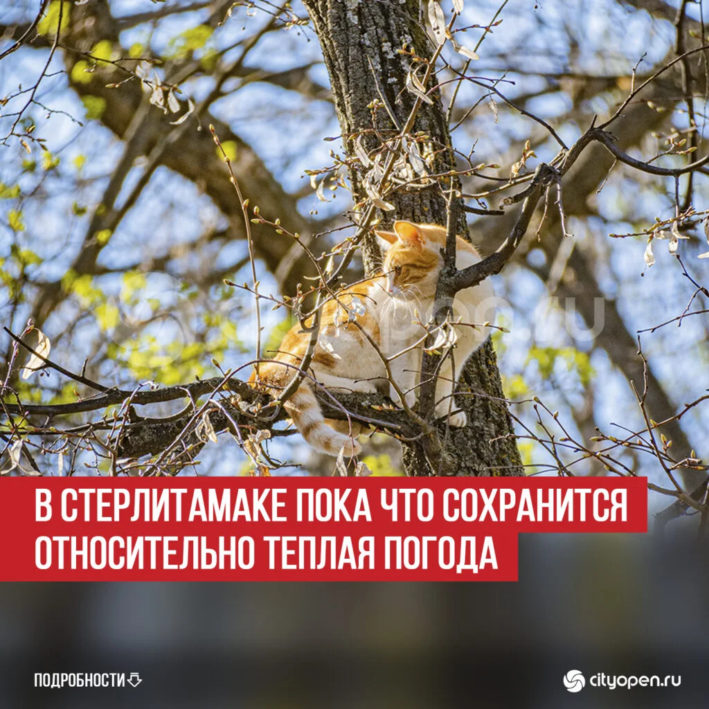 В Стерлитамаке пока что сохранится относительно теплая погода