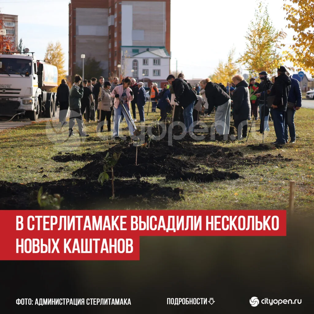 В Стерлитамаке высадили несколько новых каштанов