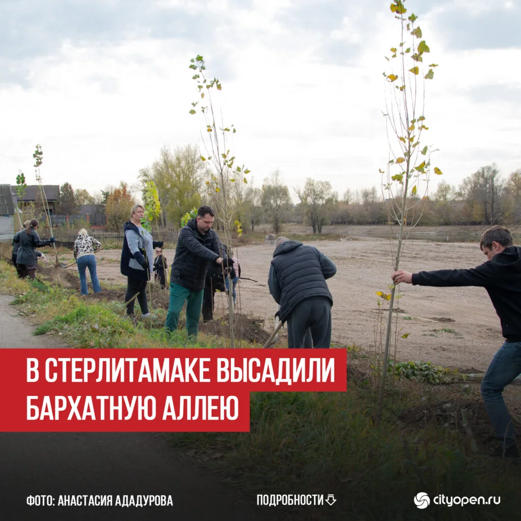 В Стерлитамаке высадили Бархатную аллею