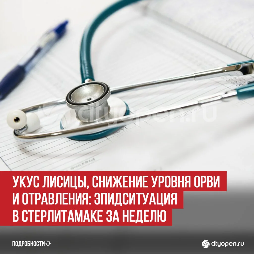 Укус лисицы, снижение уровня ОРВИ и отравления: эпидситуация в Стерлитамаке за неделю