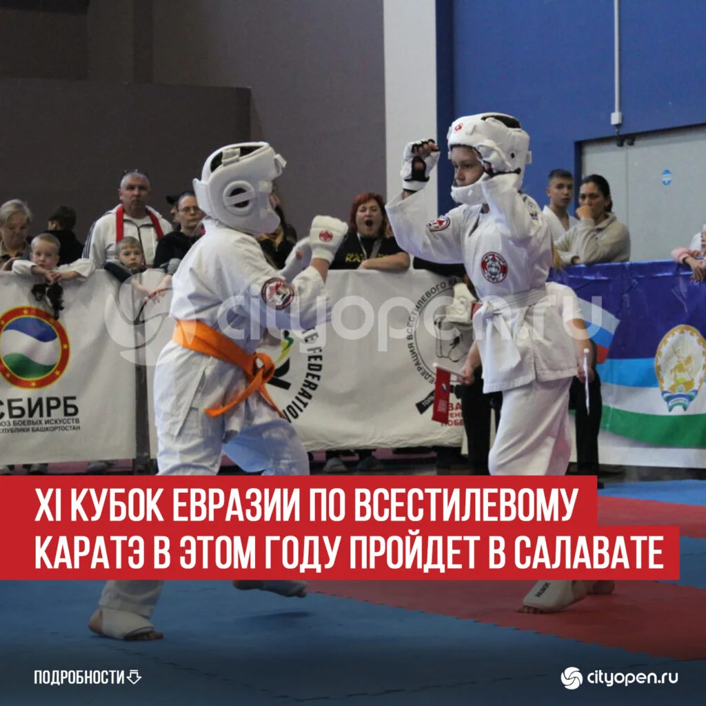 XI Кубок ЕврАзии по всестилевому каратэ в этом году пройдет в Салавате