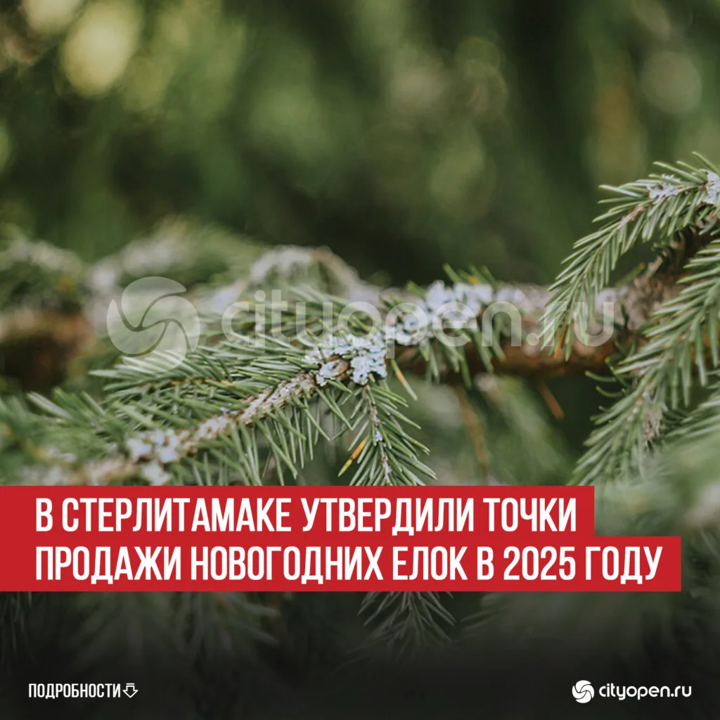 В Стерлитамаке утвердили точки продажи новогодних елок в 2025 году