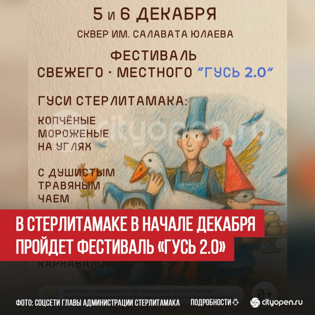 В Стерлитамаке в начале декабря пройдет фестиваль «Гусь 2.0»