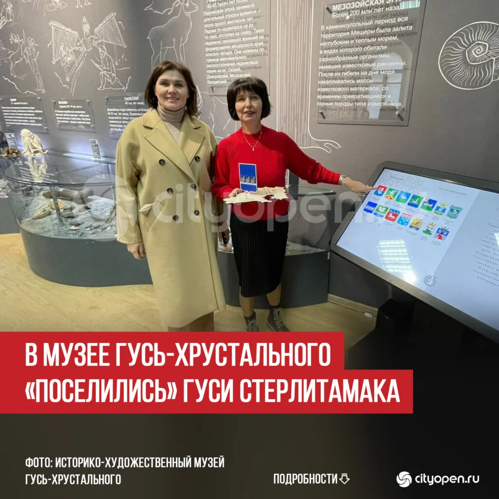 В музее Гусь-Хрустального «поселились» гуси Стерлитамака