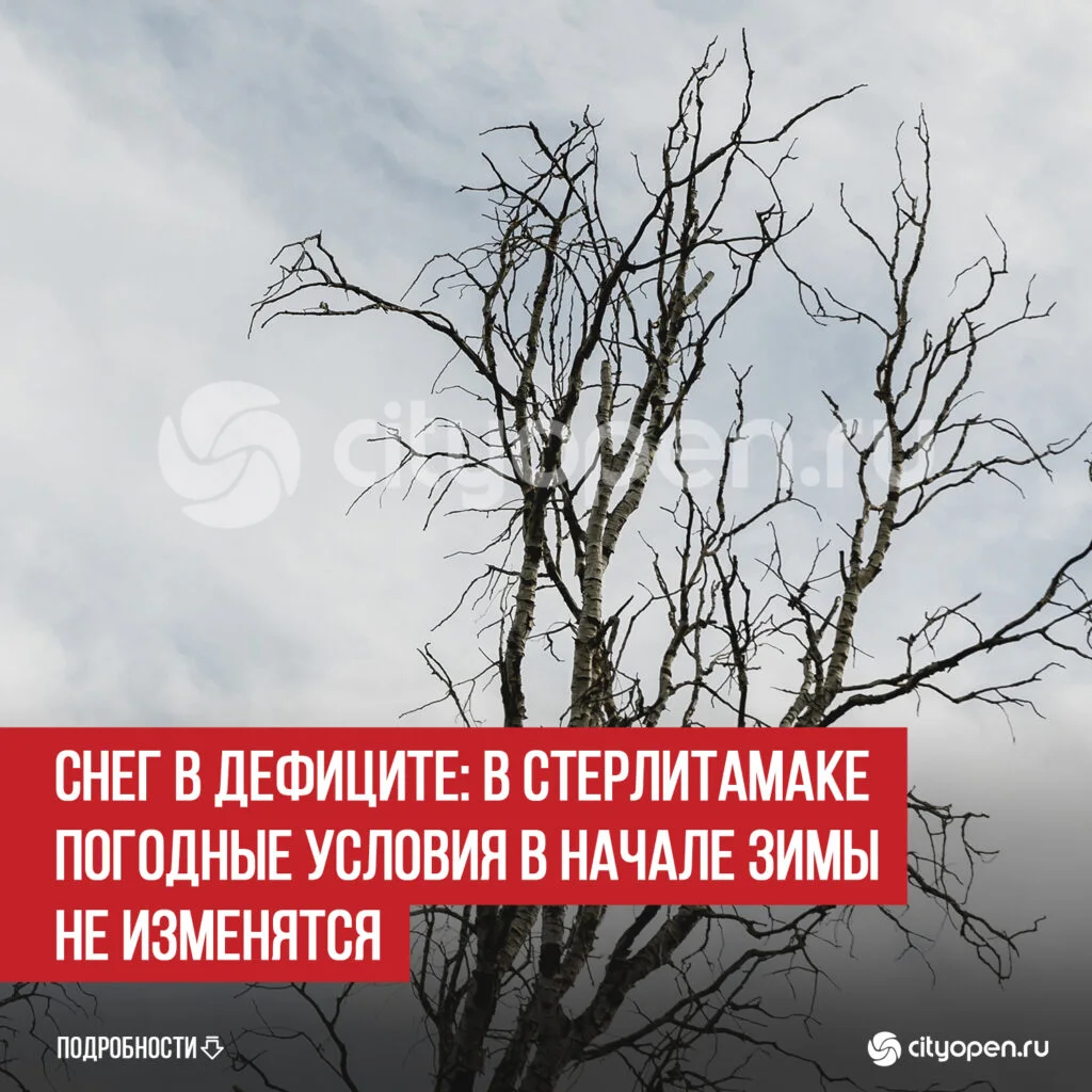 Снег в дефиците: в Стерлитамаке погодные условия в начале зимы не изменятся