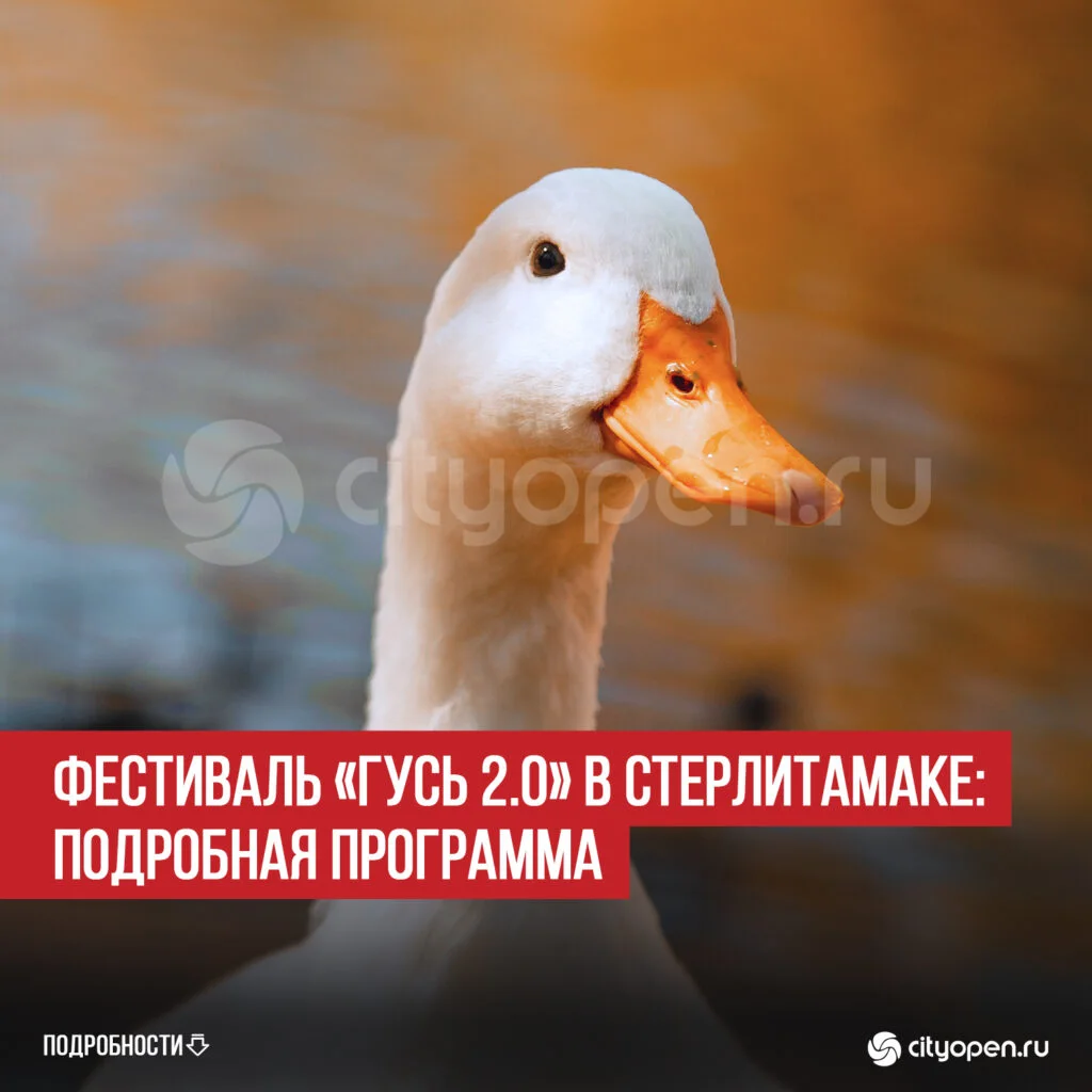 Фестиваль «Гусь 2.0» в Стерлитамаке: подробная программа