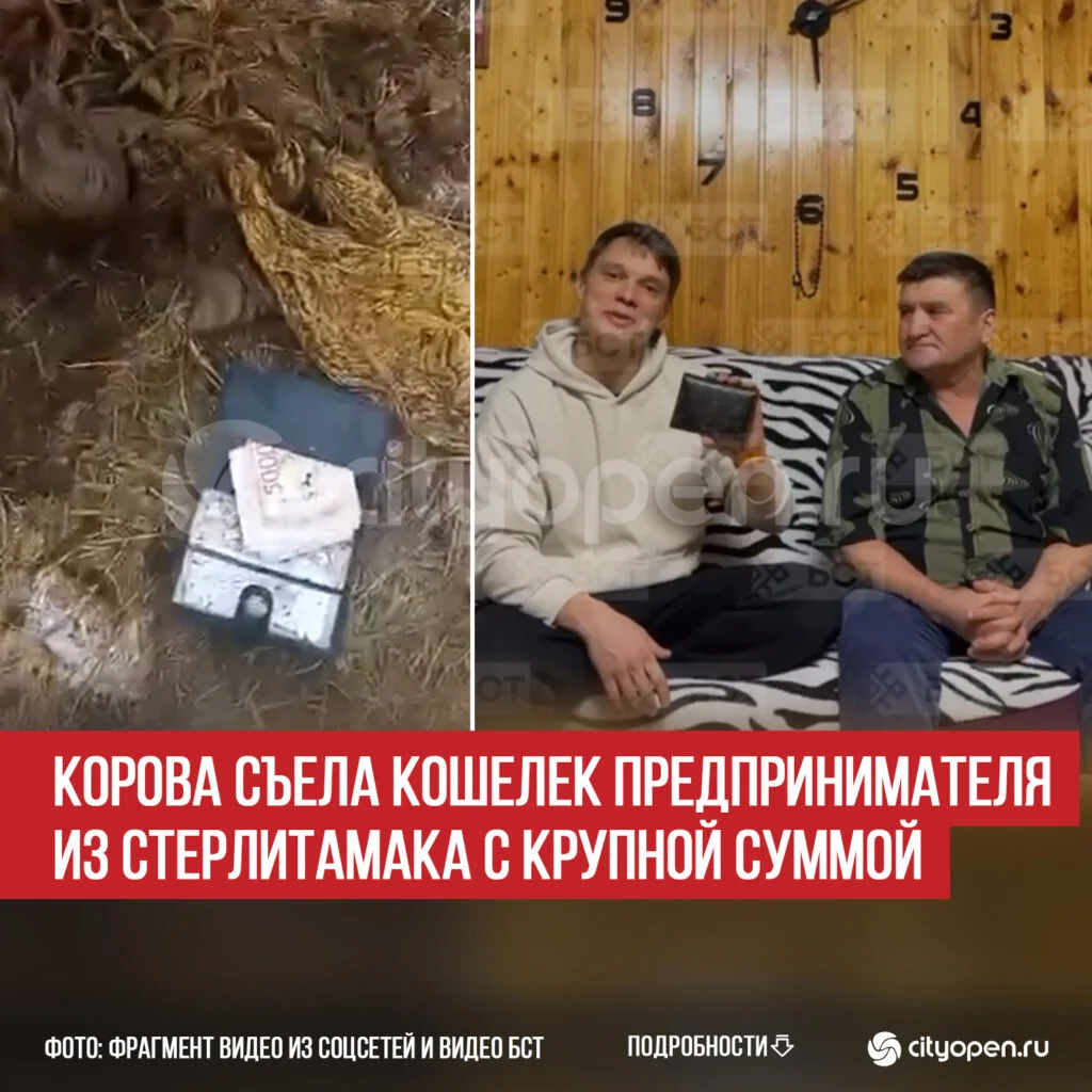 Корова съела кошелек предпринимателя из Стерлитамака с крупной суммой