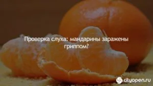 Проверка слуха: мандарины заражены гриппом?