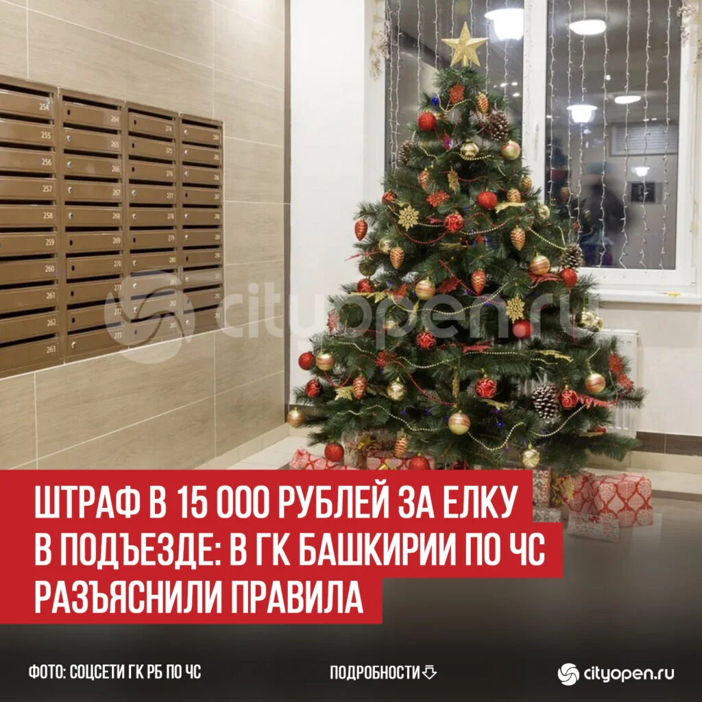 Штраф в 15 000 рублей за елку в подъезде: в ГК Башкирии по ЧС разъяснили правила