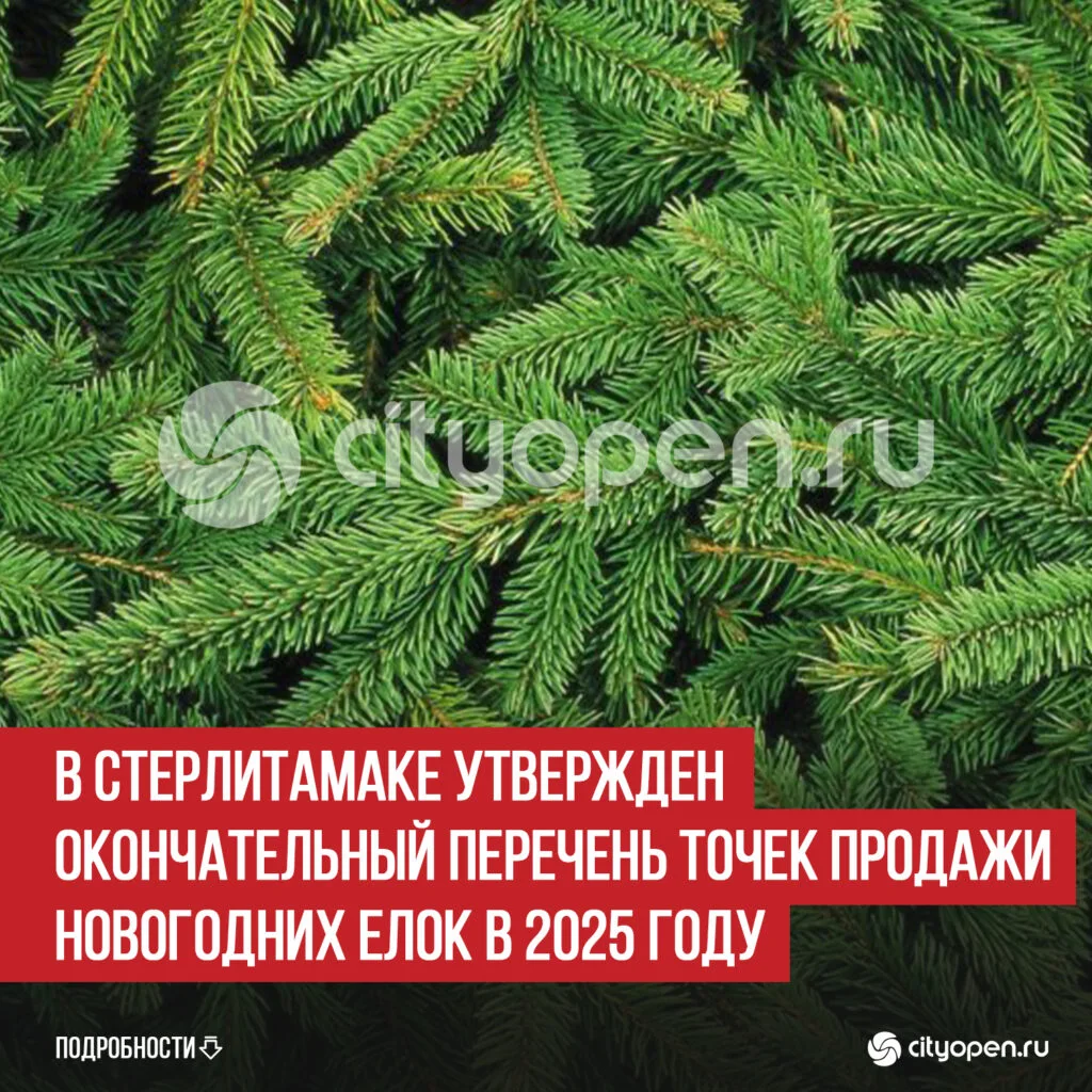 В Стерлитамаке утвержден окончательный перечень точек продажи новогодних елок в 2025 году