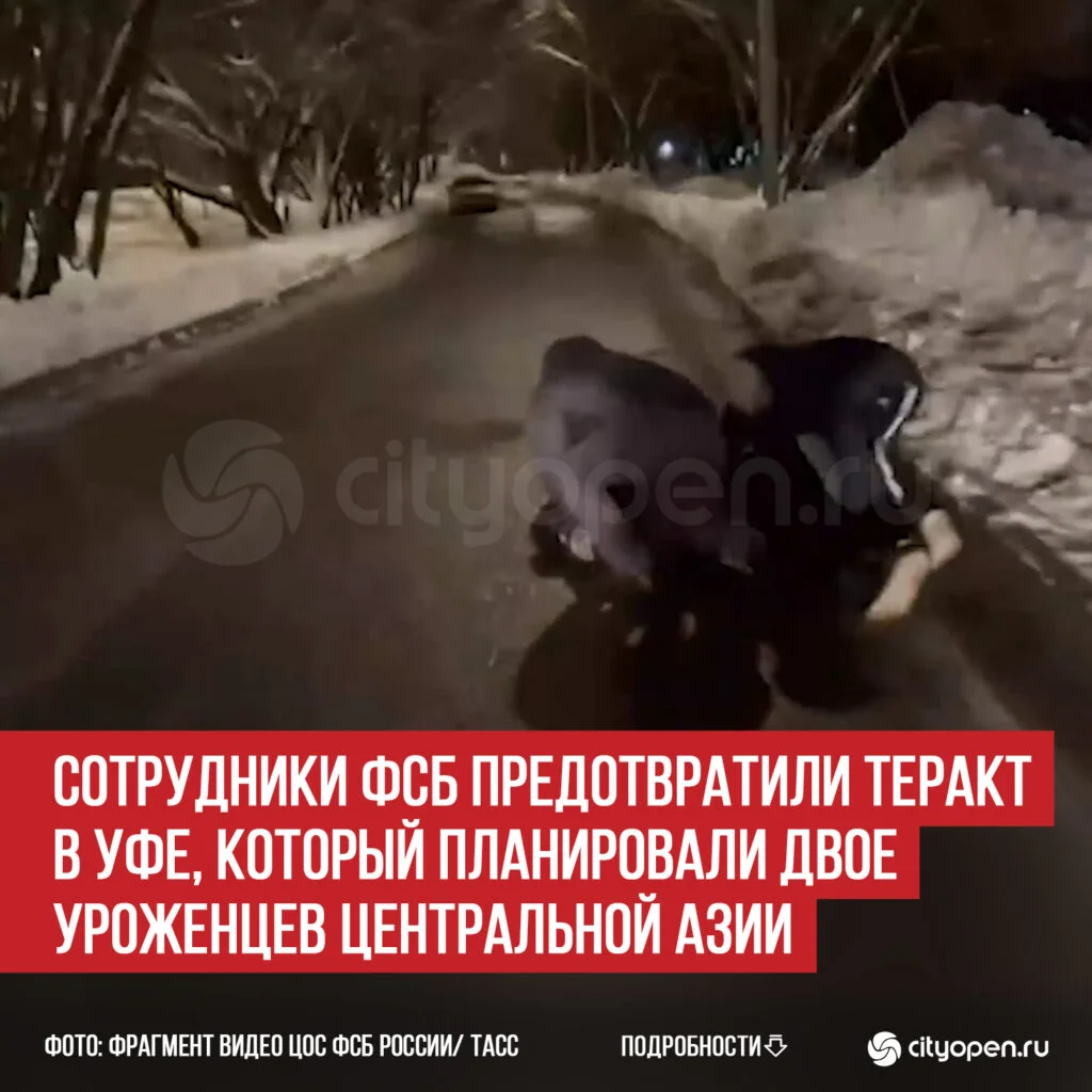 Сотрудники ФСБ предотвратили теракт в Уфе, который планировали двое уроженцев Центральной Азии