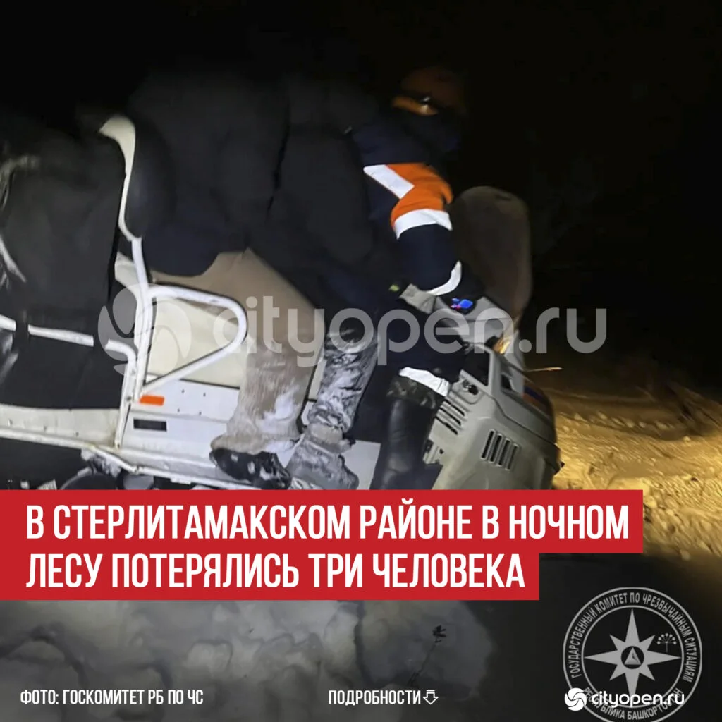 В Стерлитамакском районе в ночном лесу потерялись три человека