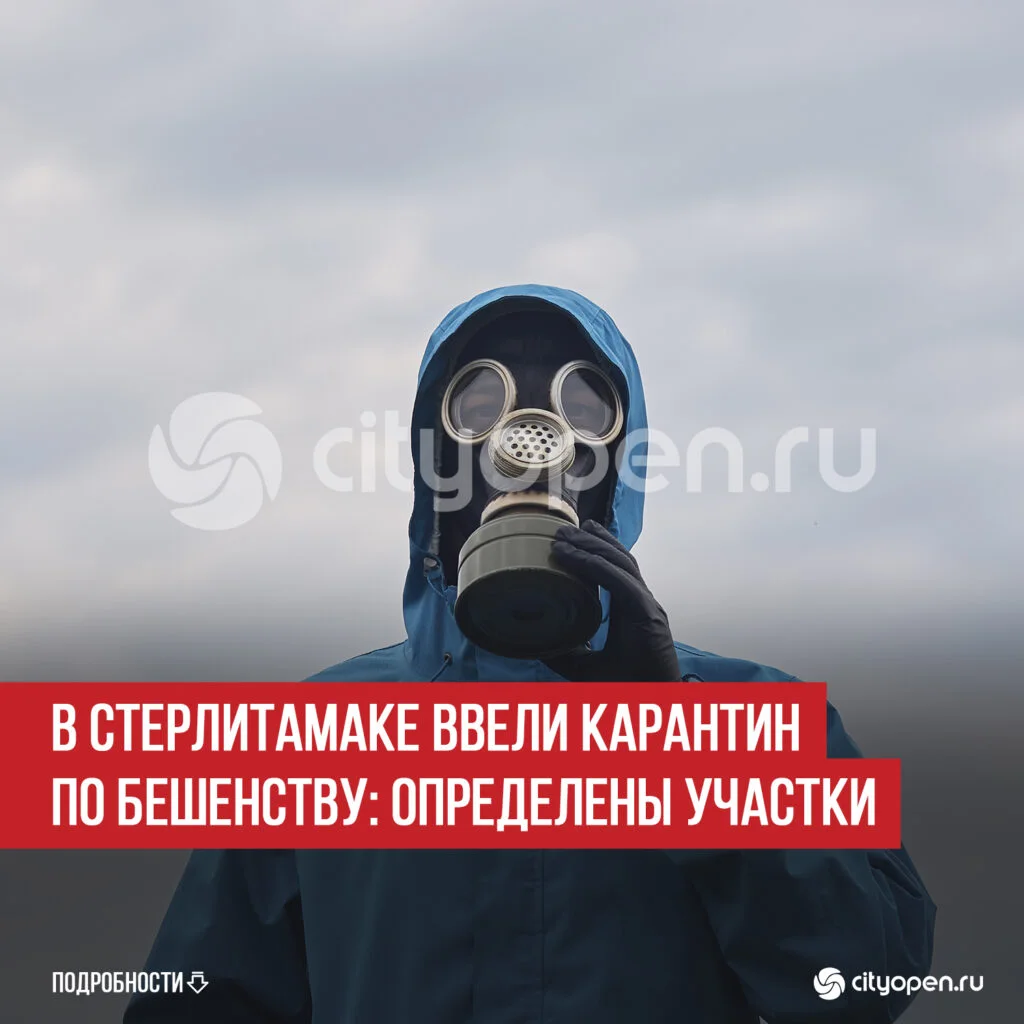 В Стерлитамаке ввели карантин по бешенству: определены участки
