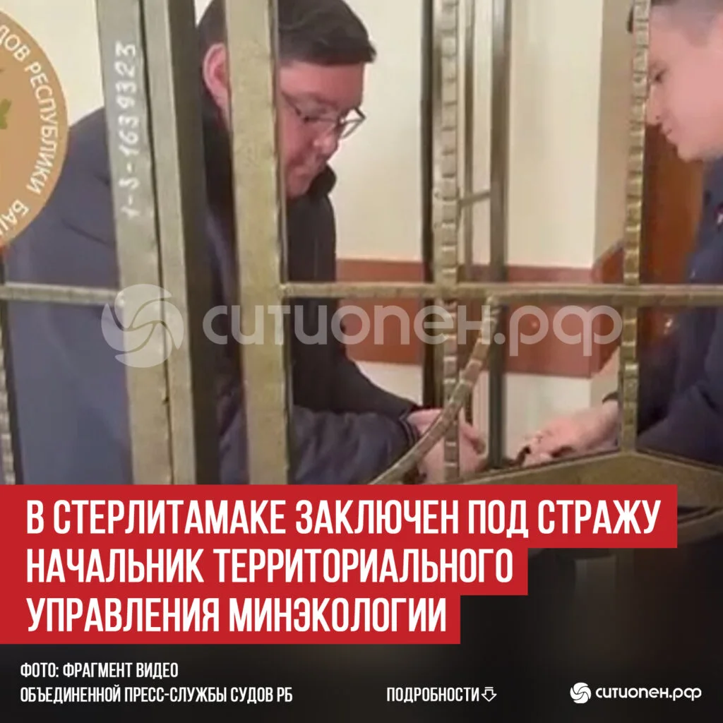 В Стерлитамаке заключен под стражу начальник территориального управления Минэкологии