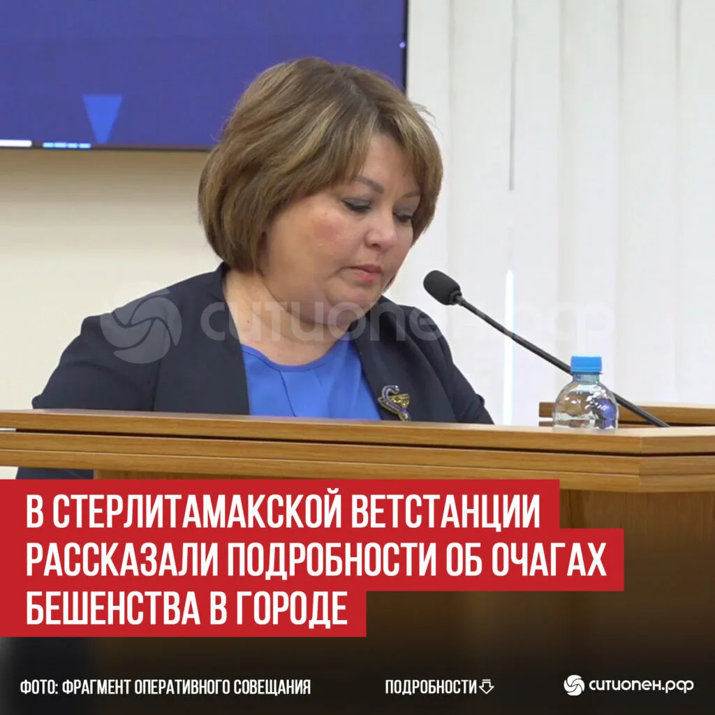 В Стерлитамакской ветстанции рассказали подробности об очагах бешенства в городе