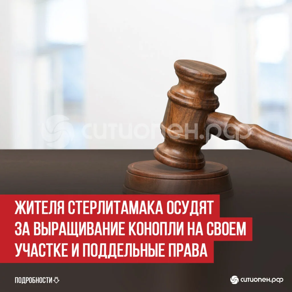 Жителя Стерлитамака осудят за выращивание конопли на своем участке и поддельные права