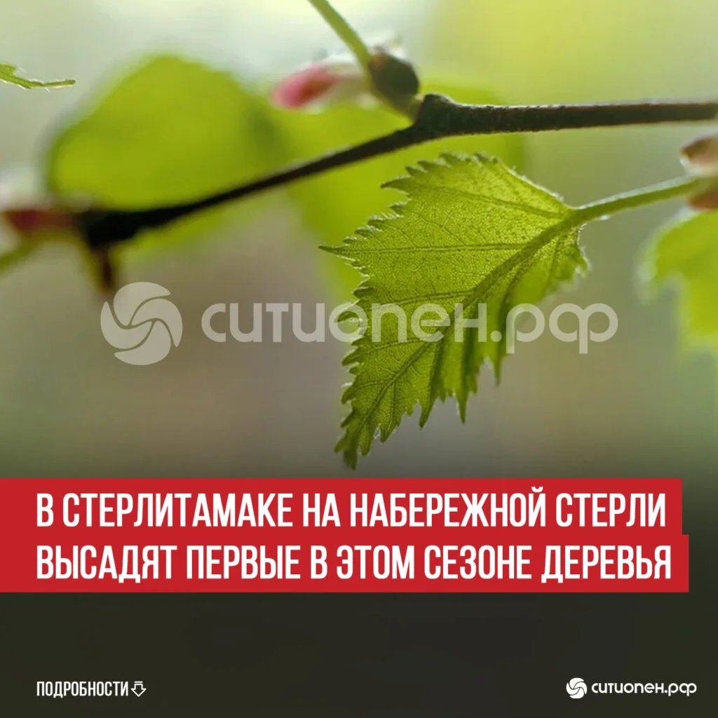 В Стерлитамаке на набережной Стерли высадят первые в этом сезоне деревья