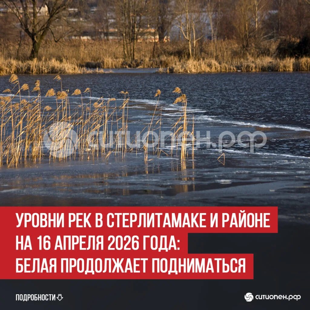 Уровни рек в Стерлитамаке и районе на 16 апреля 2026 года: Белая продолжает подниматься
