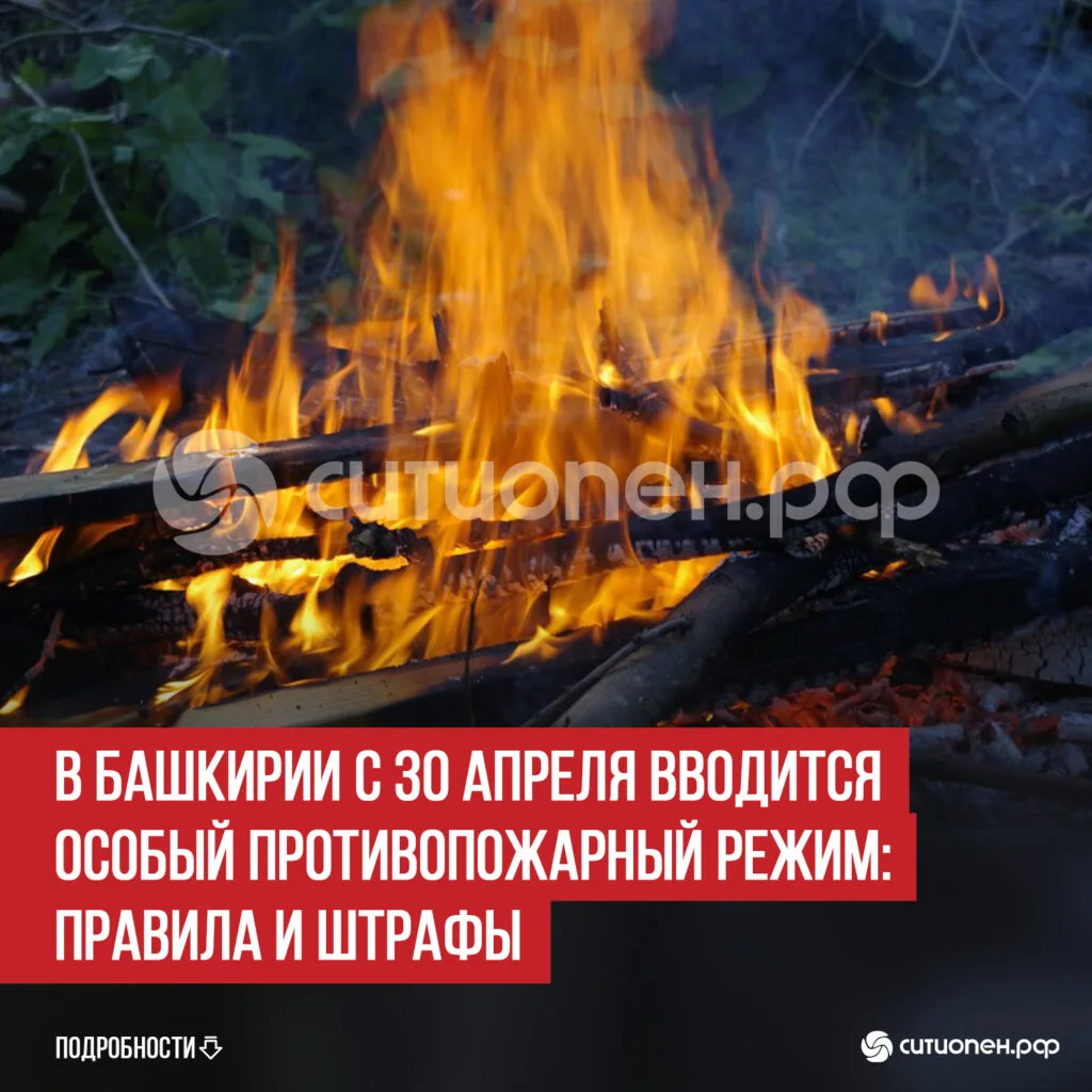 В Башкирии с 30 апреля вводится особый противопожарный режим: правила и штрафы