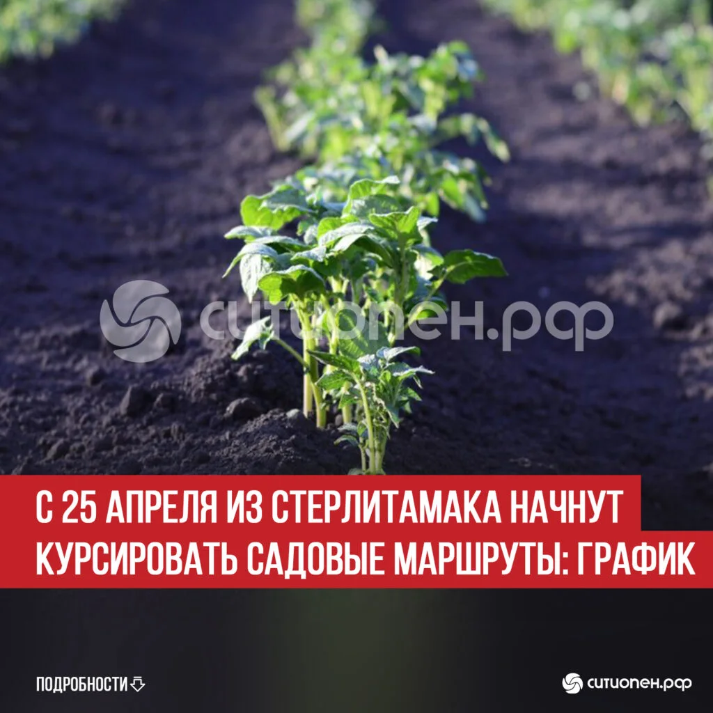 С 25 апреля из Стерлитамака начнут курсировать садовые маршруты: график
