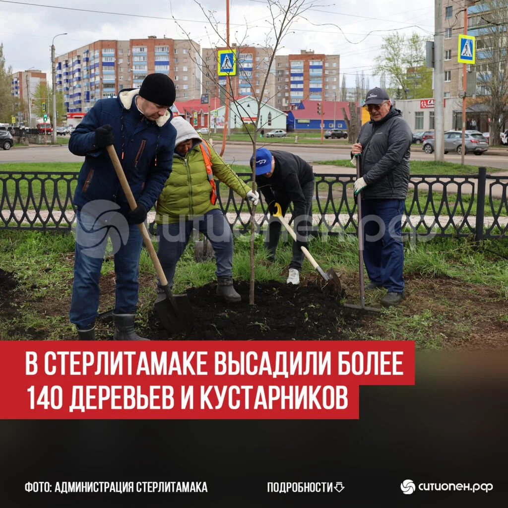 В Стерлитамаке высадили более 140 деревьев и кустарников