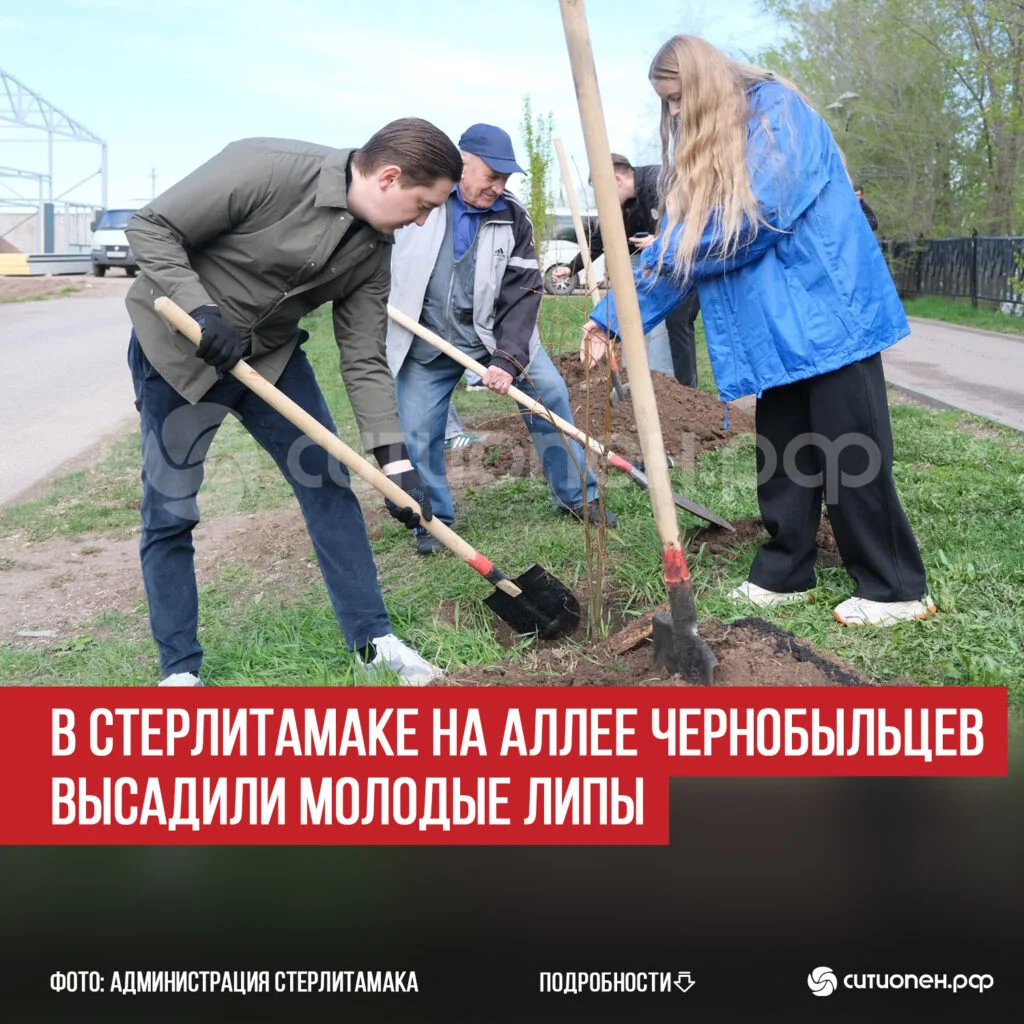 В Стерлитамаке на Аллее чернобыльцев высадили молодые липы