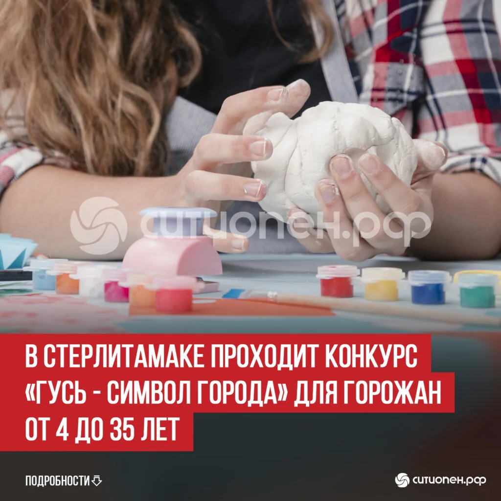 В Стерлитамаке проходит конкурс «Гусь — символ города» для горожан от 4 до 35 лет