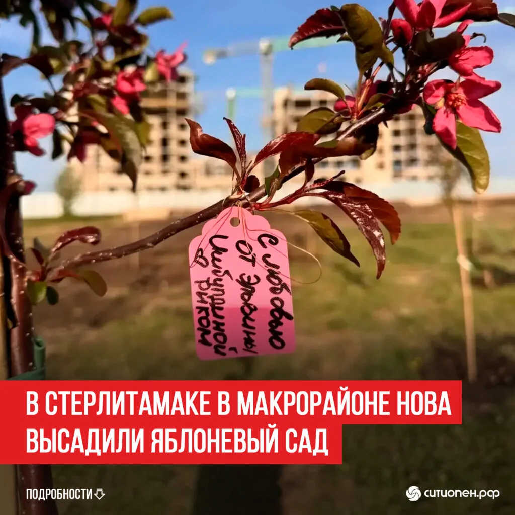 В Стерлитамаке в макрорайоне НОВА высадили яблоневый сад