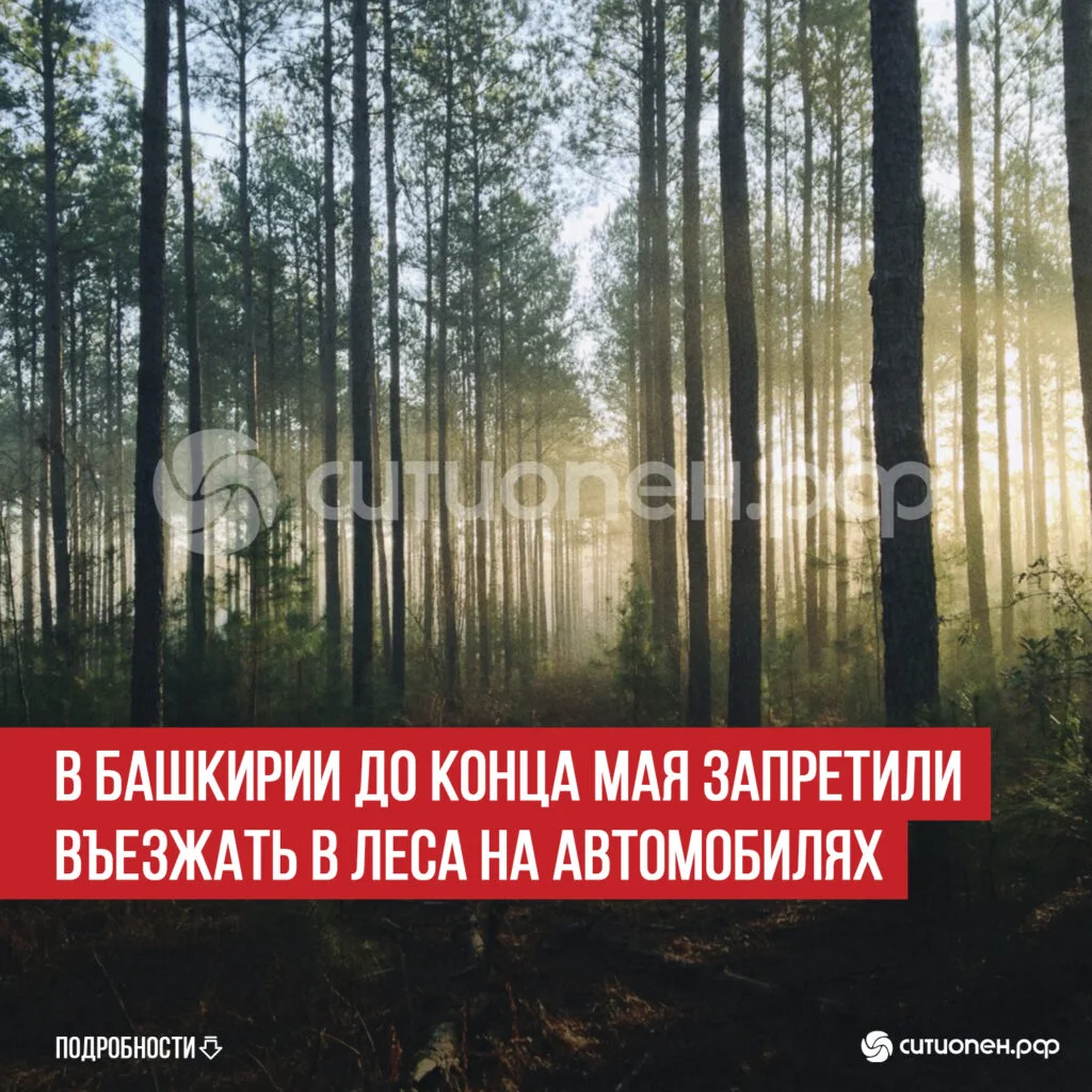 В Башкирии до конца мая запретили въезжать в леса на автомобилях