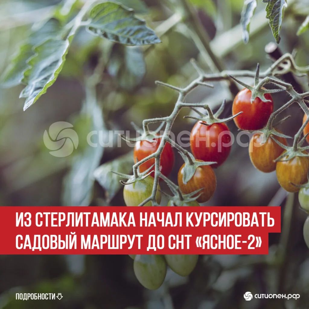 Из Стерлитамака начал курсировать садовый маршрут до СНТ «Ясное-2»