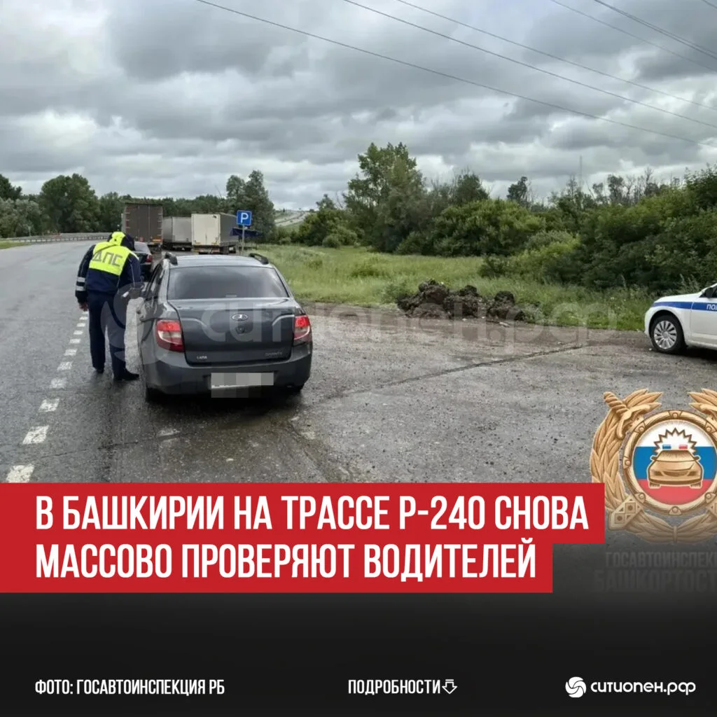 В Башкирии на трассе Р-240 снова массово проверяют водителей