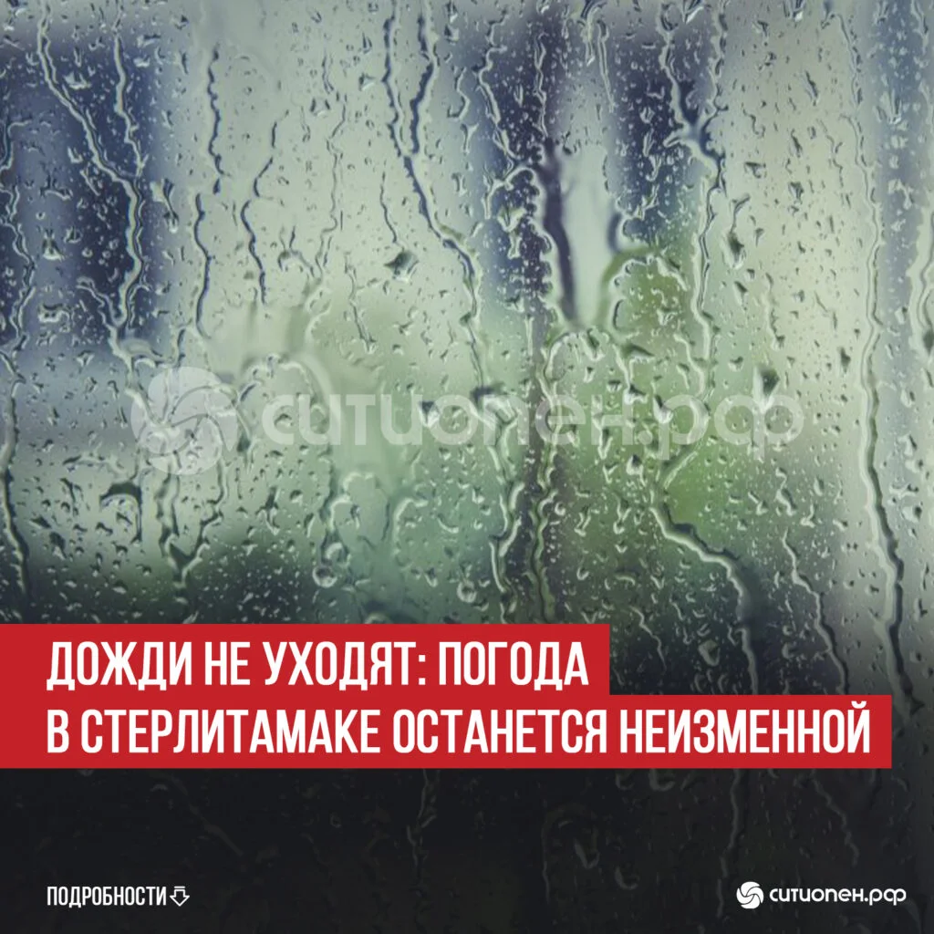 Дожди не уходят: погода в Стерлитамаке останется неизменной