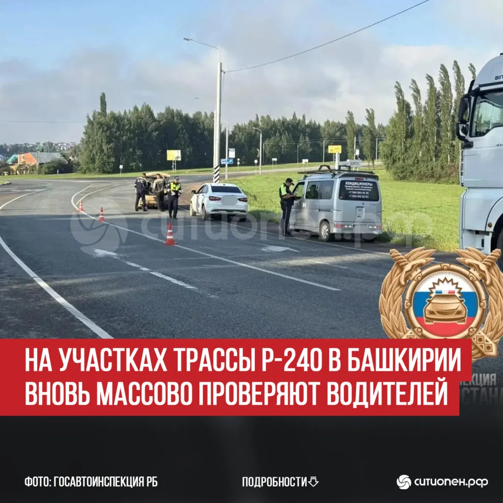 На участках трассы Р-240 в Башкирии вновь массово проверяют водителей
