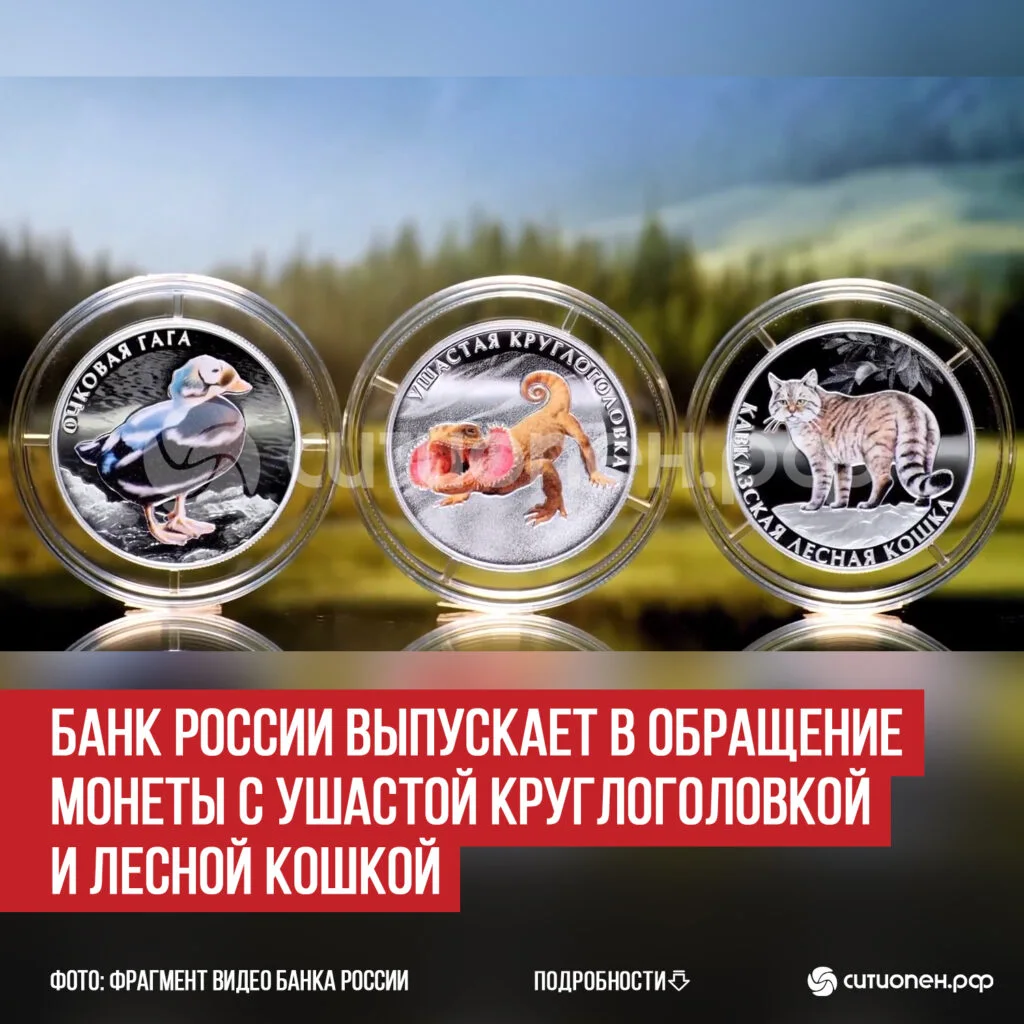 Банк России выпускает в обращение монеты с ушастой круглоголовкой и лесной кошкой