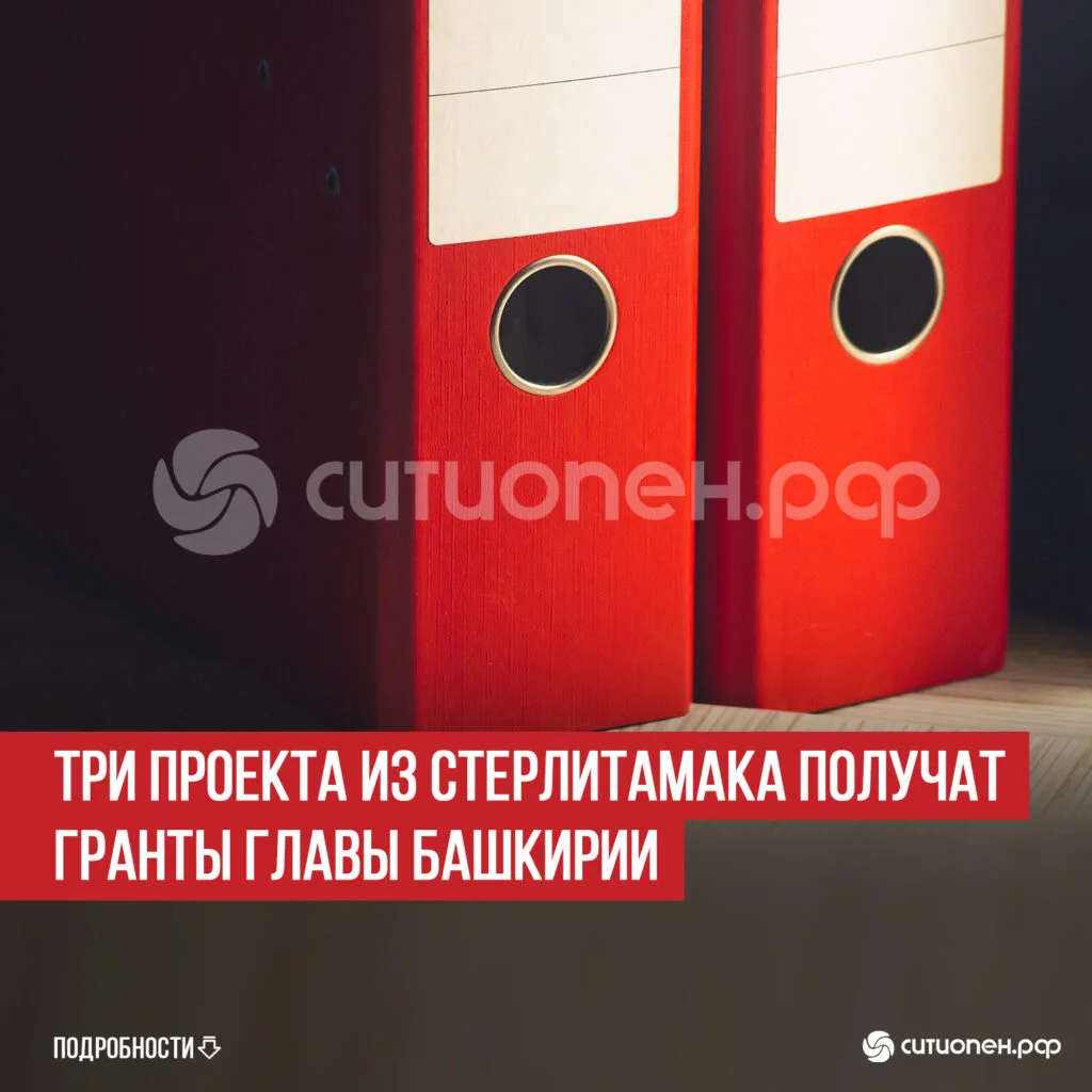 Три проекта из Стерлитамака получат гранты главы Башкирии
