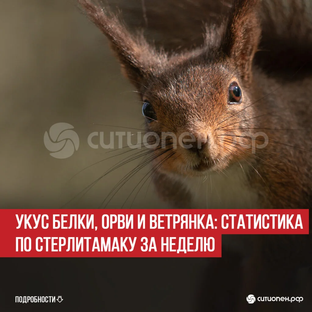 Укус белки, ОРВИ и ветрянка: статистика по Стерлитамаку за неделю