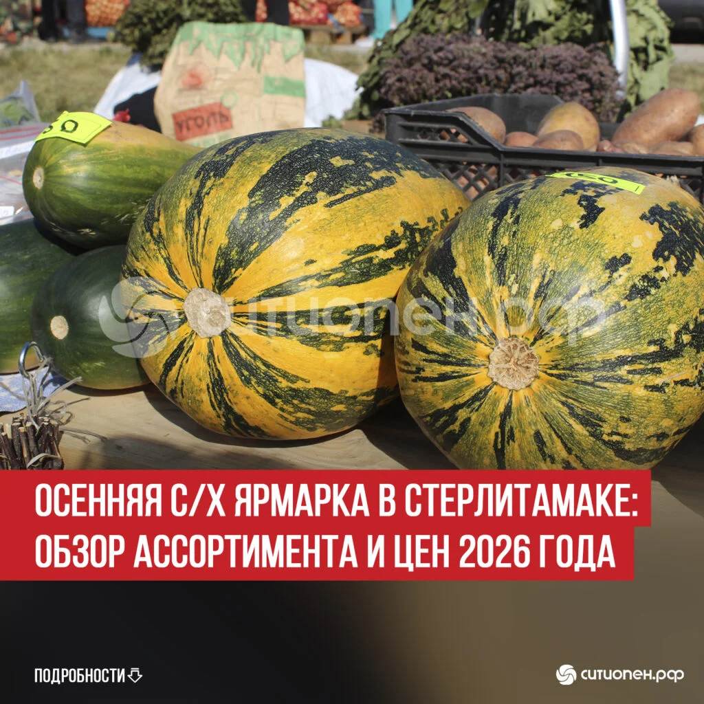 Осенняя с/х ярмарка в Стерлитамаке: обзор ассортимента и цен 2026 года