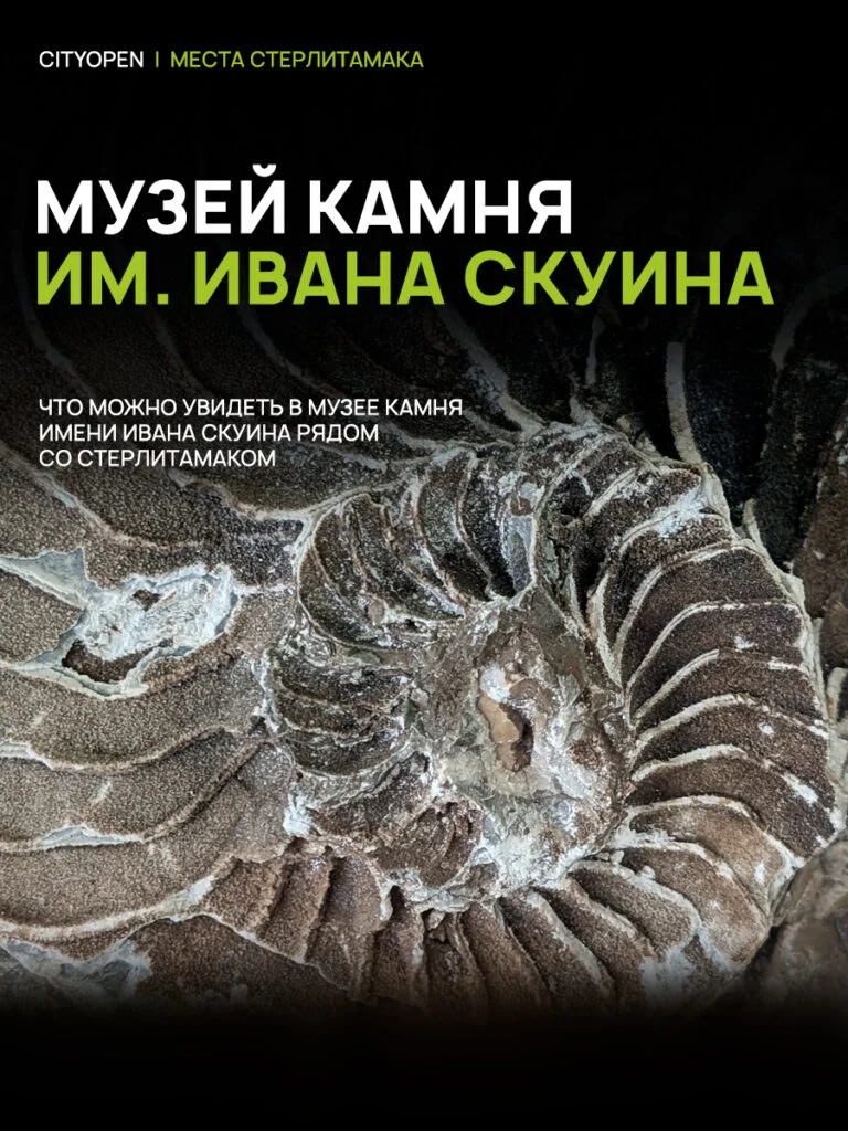 Ископаемый риф, которому 300 миллионов лет: что посмотреть в Музее камня имени Ивана Скуина
