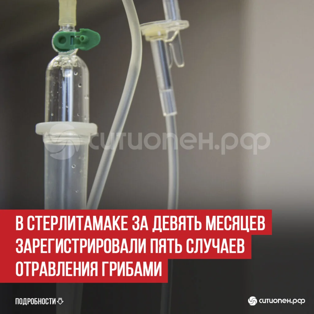 В Стерлитамаке за девять месяцев зарегистрировали пять случаев отравления грибами