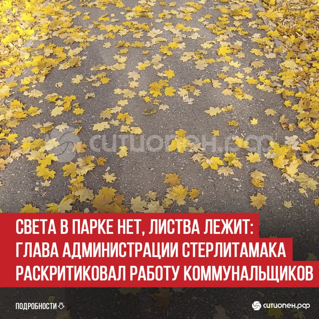 Света в парке нет, листва лежит: глава администрации Стерлитамака раскритиковал работу коммунальщиков